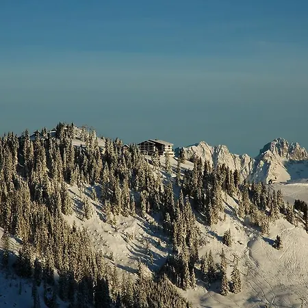Ehrenbachhohe On Of The Mountain Kitzbühel