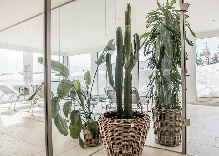 Hotel Ehrenbachhohe On Of The Mountain