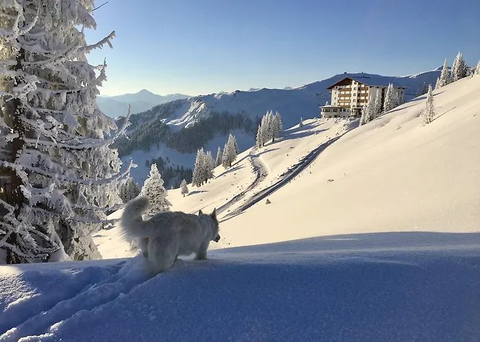 Ehrenbachhohe On Of The Mountain Hotel Kitzbuhel