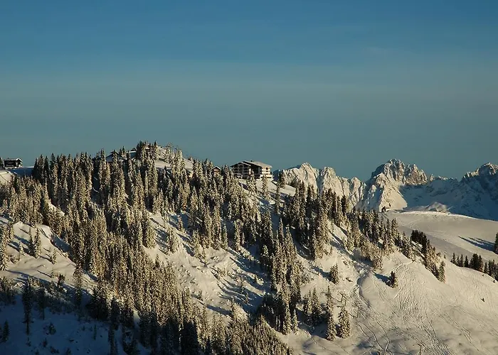 Ehrenbachhohe On Of The Mountain Kitzbuhel