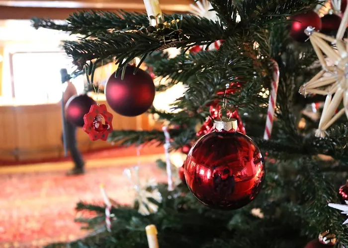 Ehrenbachhohe On Of The Mountain Kitzbuhel